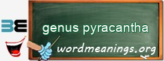 WordMeaning blackboard for genus pyracantha